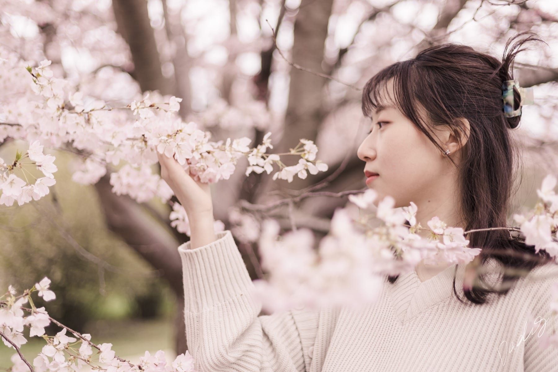 Profile reaching toward a blossoming branch