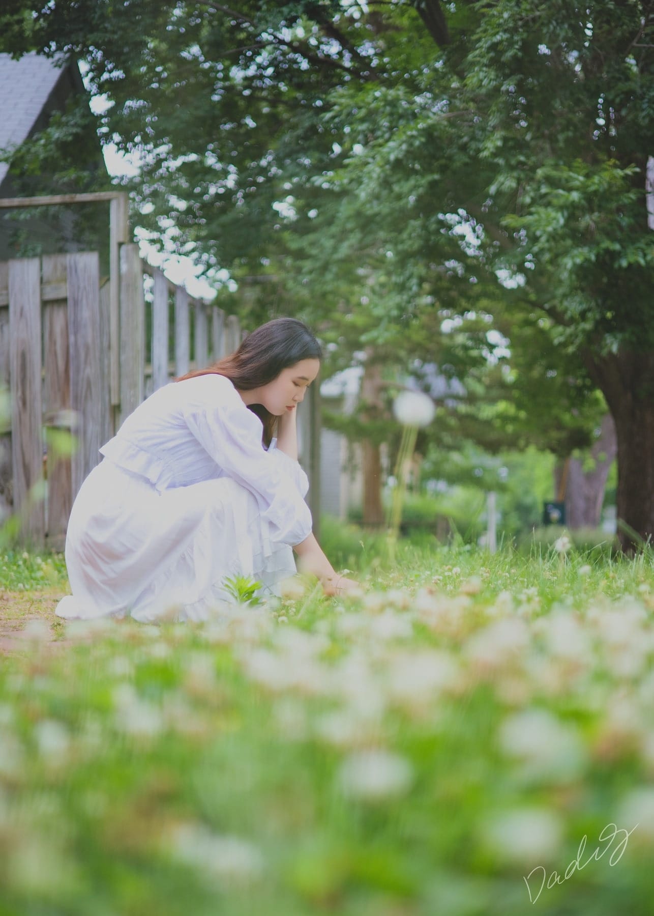 Crouching among white clover in the grass